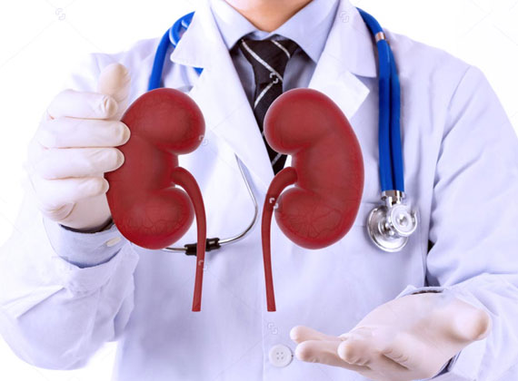 urology and andrology 0